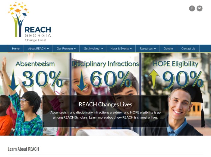 REACH Georgia - New Version